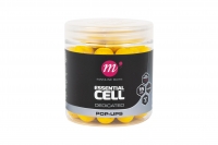 Dedicated Pop-Ups 15mm Essential Cell 2023